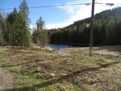 3915 Old Red Mountain Road Road, Rossland, BC - Outdoor With View