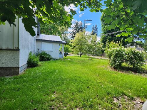 107 Broadway Street, Nakusp, BC 