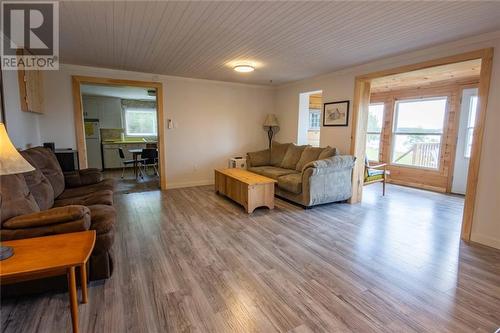 1331 Tramore Road, Golden Lake, ON - Indoor Photo Showing Living Room