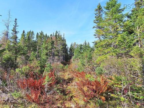 Lot 4 Loch Lomond Road, Big Pond, NS 