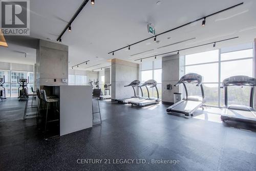 1125 - 251 Manitoba Street, Toronto, ON - Indoor Photo Showing Gym Room