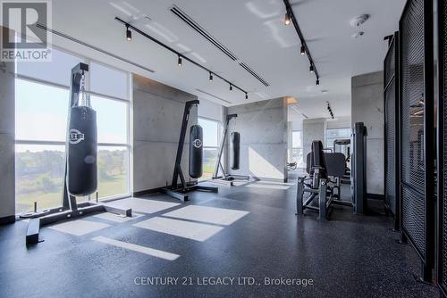 1125 - 251 Manitoba Street, Toronto, ON - Indoor Photo Showing Gym Room