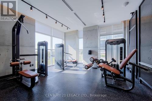 1125 - 251 Manitoba Street, Toronto, ON - Indoor Photo Showing Gym Room