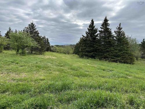 Dunroamin Road, Doctors Brook, NS 