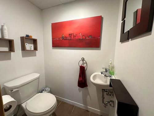 Powder room - 632 Rue Du Verger, La Pocatière, QC - Indoor Photo Showing Bathroom