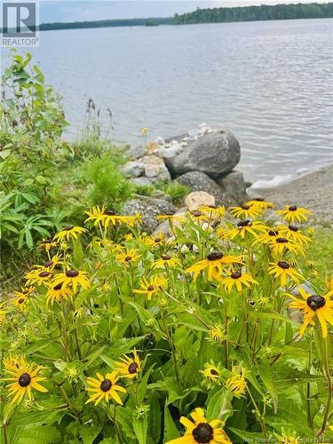 89 Stevenson Lane, East Grand Lake, NB - Outdoor With Body Of Water With View