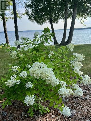 89 Stevenson Lane, East Grand Lake, NB - Outdoor With Body Of Water With View