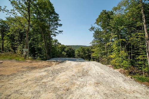 Terre/Terrain - 20E Rue, Saint-Adolphe-D'Howard, QC 