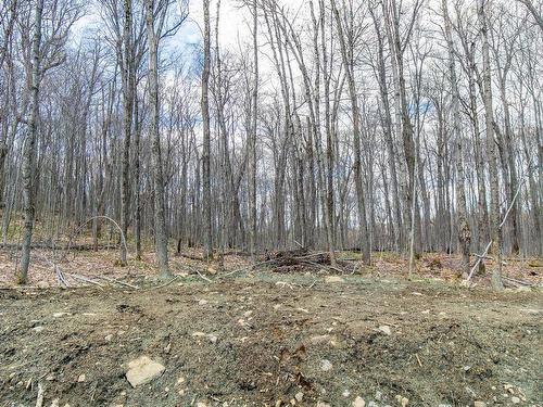 Land/Lot - 20E Rue, Saint-Adolphe-D'Howard, QC 