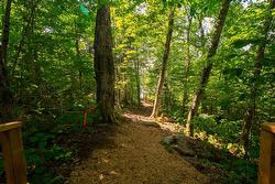 Access to a body of water - 