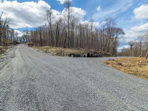 Rue - 20E Rue, Saint-Adolphe-D'Howard, QC - Outdoor With View