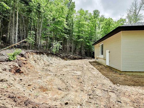 Cour - 1980 Ch. Des Hauteurs, Saint-Hippolyte, QC - Outdoor