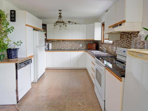 Cuisine - 1051 Ch. De Ste-Lucie, Sainte-Lucie-Des-Laurentides, QC - Indoor Photo Showing Kitchen With Double Sink