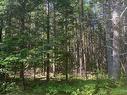 Lot Pid 60493061 Huey Lake Road, Mount Pleasant, NS 