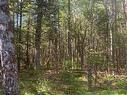 Lot Pid 60493061 Huey Lake Road, Mount Pleasant, NS 