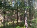 Lot Pid 60493061 Huey Lake Road, Mount Pleasant, NS 