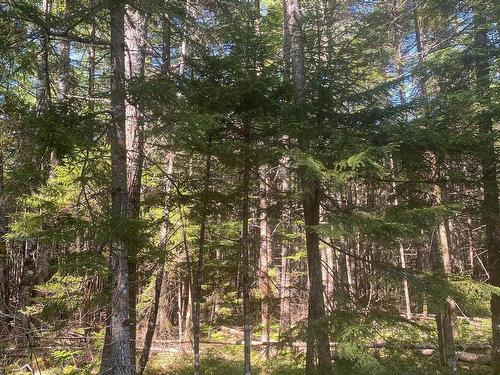 Lot Pid 60493061 Huey Lake Road, Mount Pleasant, NS 