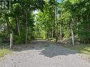 6192 County Rd 50, Trent Hills (Campbellford), ON 