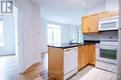 101 - 314 Central Park Drive, Ottawa, ON - Indoor Photo Showing Kitchen