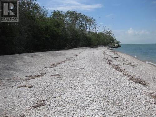 V/L Middle Sister Island, Pelee Island, ON 