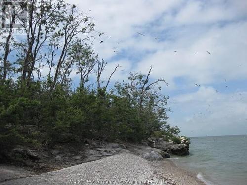 V/L Middle Sister Island, Pelee Island, ON 