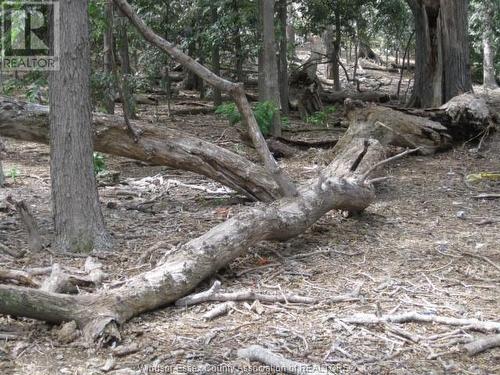 V/L Middle Sister Island, Pelee Island, ON 