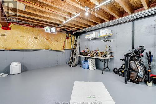 9 Montego Bay Crescent, Kingsville, ON - Indoor Photo Showing Basement