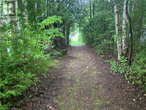 Water Access across the road - 72 South Shore Road, Northern Bruce Peninsula, ON - Outdoor With Body Of Water With View