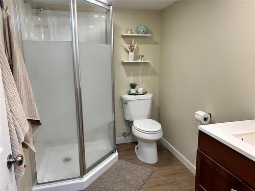 214 North Railway Street, Killarney, MB - Indoor Photo Showing Bathroom