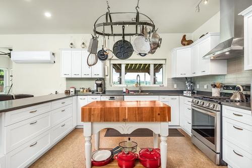 4 Hollingsworth Road, Cherryville, BC - Indoor Photo Showing Kitchen With Upgraded Kitchen