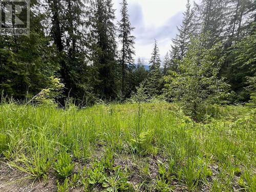 Lot 131 Vickers Trail, Anglemont, BC 