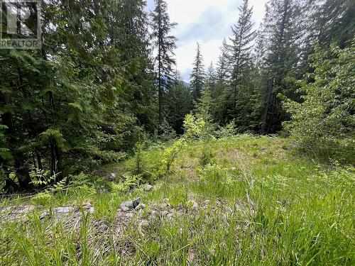 Lot 131 Vickers Trail, Anglemont, BC 