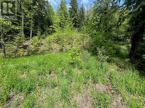 Lot 131 Vickers Trail, Anglemont, BC 