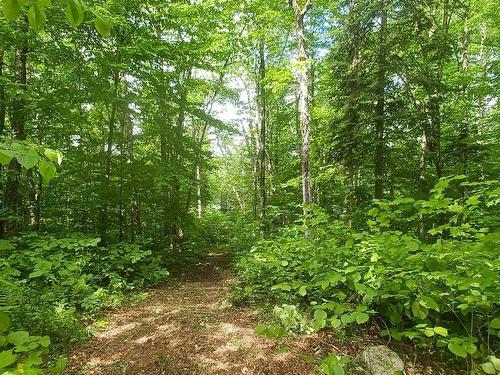 Land/Lot - 8 Ch. Monette, Aumond, QC - Outdoor