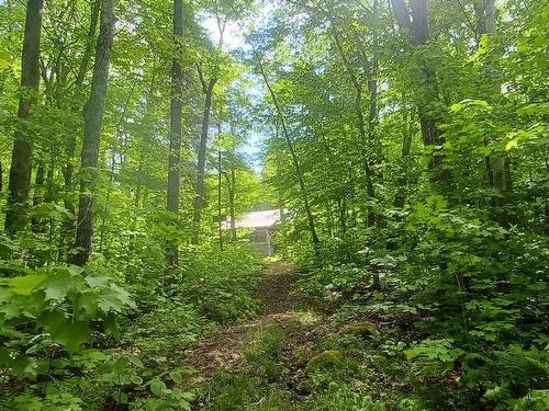 Land/Lot - 8 Ch. Monette, Aumond, QC - Outdoor