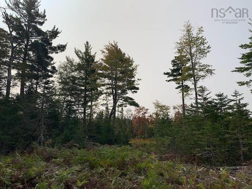 Lot 4 Pleasant River Preserve, Pleasant River, NS 