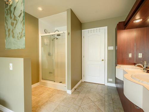 Salle de bains - 32 Rue Du Lac, Les Coteaux, QC - Indoor Photo Showing Bathroom