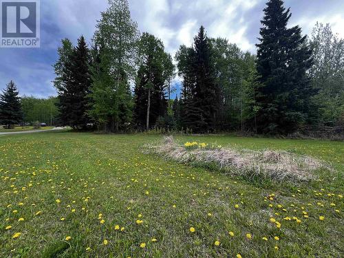 6367 Ely Subdivision Road, Fraser Lake, BC - Outdoor With View