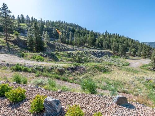 209 Ricard Place, Okanagan Falls, BC - Outdoor With View