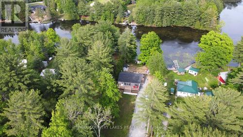 113 Stanley Road, Kawartha Lakes, ON - Outdoor With View