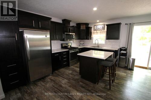 113 Stanley Road, Kawartha Lakes, ON - Indoor Photo Showing Kitchen With Upgraded Kitchen