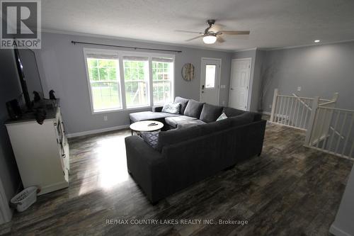 113 Stanley Road, Kawartha Lakes, ON - Indoor Photo Showing Living Room