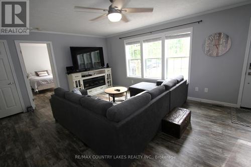 113 Stanley Road, Kawartha Lakes, ON - Indoor Photo Showing Living Room