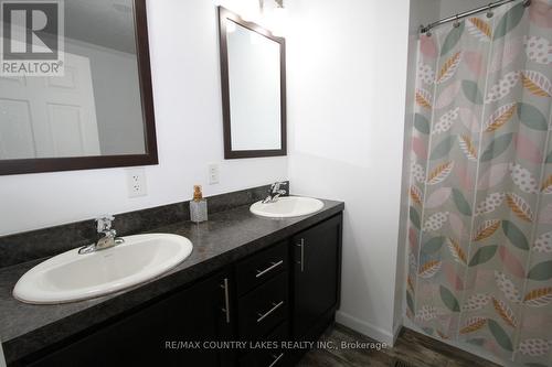 113 Stanley Road, Kawartha Lakes, ON - Indoor Photo Showing Bathroom