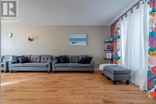256 Johnson Street, Barrie, ON - Indoor Photo Showing Living Room