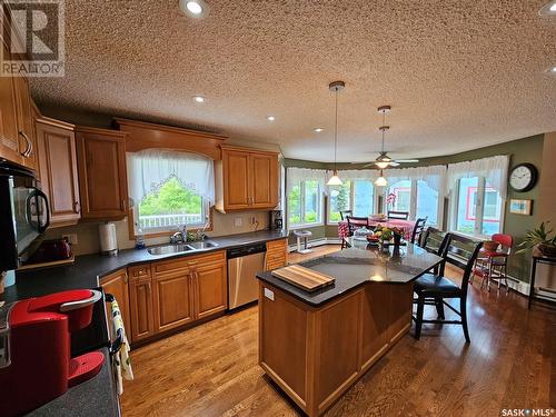 205 1St Street E, Carlyle, SK - Indoor Photo Showing Kitchen With Double Sink