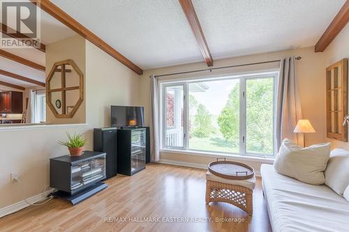 597 Killarney Bay Road, Kawartha Lakes, ON - Indoor Photo Showing Living Room