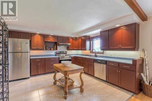 597 Killarney Bay Road, Kawartha Lakes, ON - Indoor Photo Showing Kitchen With Double Sink