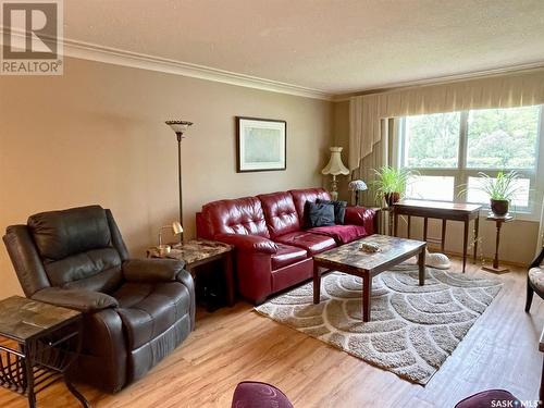 104 250 Athabasca Street E, Moose Jaw, SK - Indoor Photo Showing Living Room