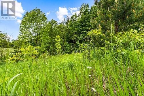 Pt Lot 16 Side Road 5, Chatsworth, ON 